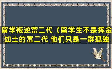 留学叛逆富二代（留学生不是挥金如土的富二代 他们只是一群孤独）
